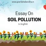 Essay on Soil Pollution In