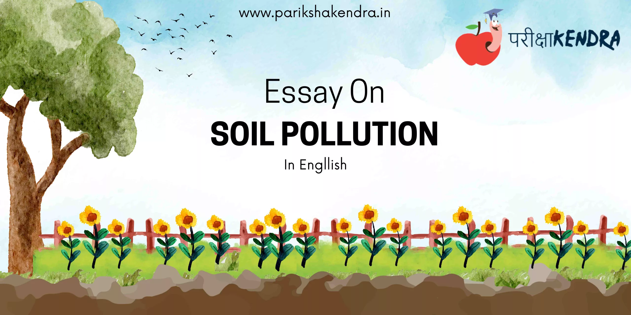 Essay on Soil Pollution In