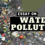 essay introduction on water pollution In English