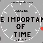 Essay On The Importance Of Time In English