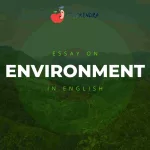 Essay On Environment In English