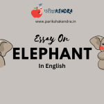 Essay On Elephant In English